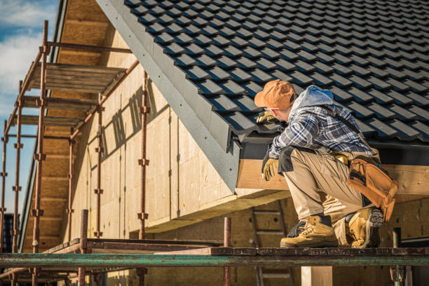 Best Roof Gutter Cleaning  in South Greeley, WY