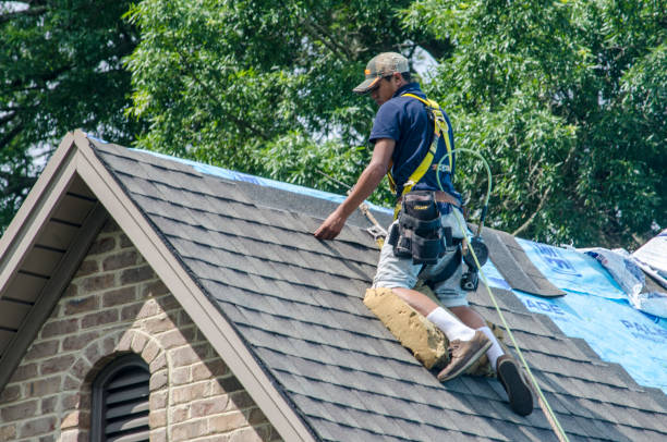 Best Roof Maintenance Services  in South Greeley, WY